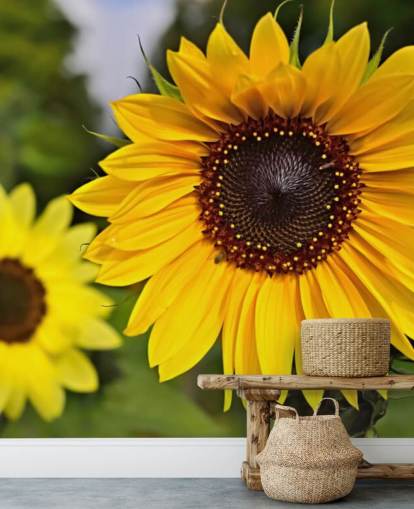 Sunflower Friends Wall Mural