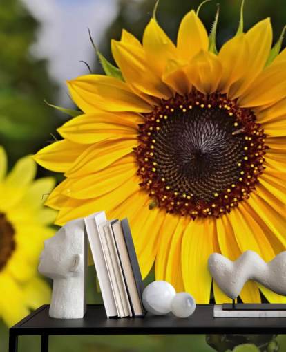 Sunflower Friends Wall Mural