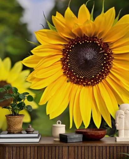 Sunflower Friends Wall Mural Sunflower Friends Wall Mural