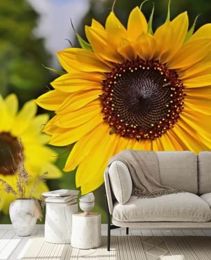 Sonnenblume Freunde Fototapete