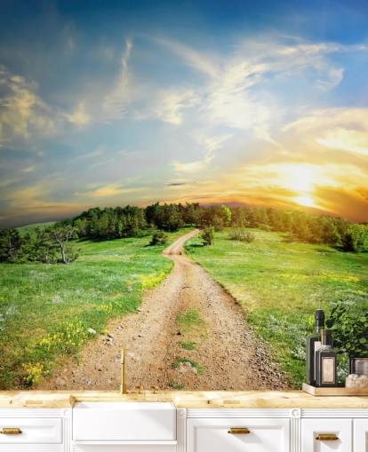 Path to Forest Wallpaper