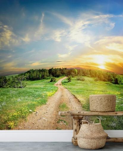 Path to Forest Wallpaper