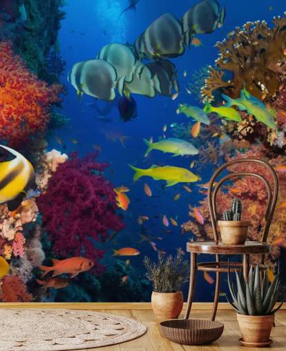 Colourful Coral and Fish Wallpaper Colourful Coral and Fish Wallpaper