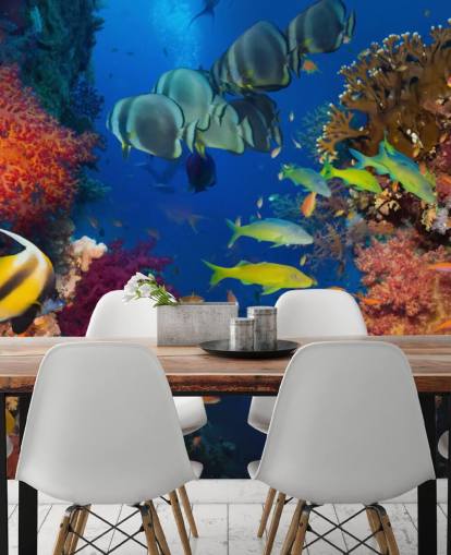 Farbenfrohe Korallen- und Fisch