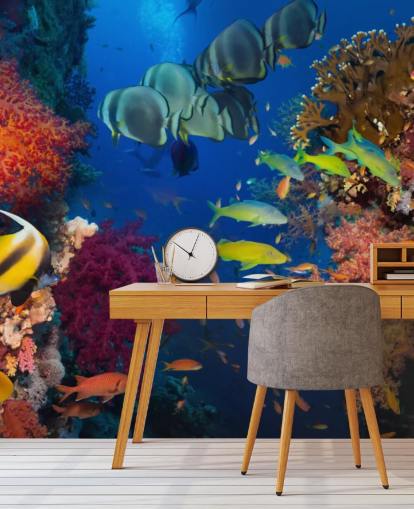 Papel pintado Colorido coral y peces