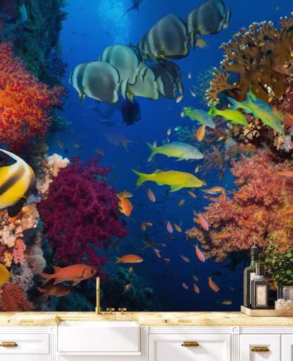 Papel pintado Colorido coral y peces