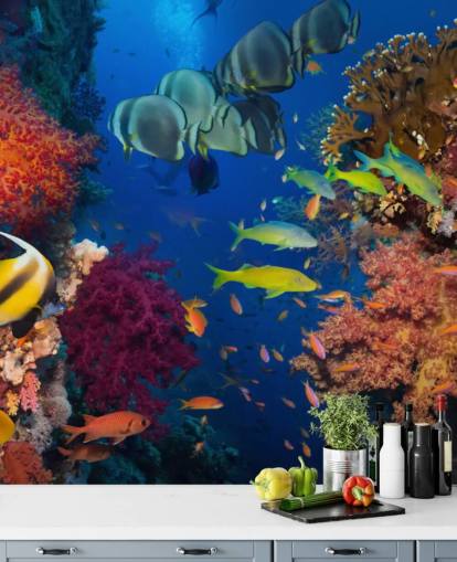 Papel de parede colorido de coral e peixe