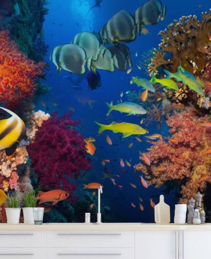 Colourful Coral and Fish Wallpaper