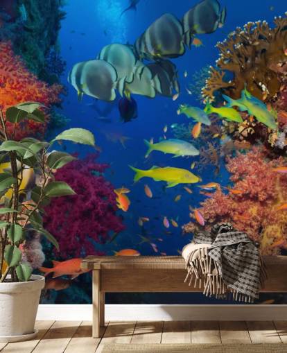 Colourful Coral and Fish Wallpaper