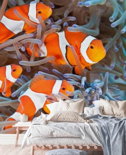 Pez payaso naranja y blanco en coral