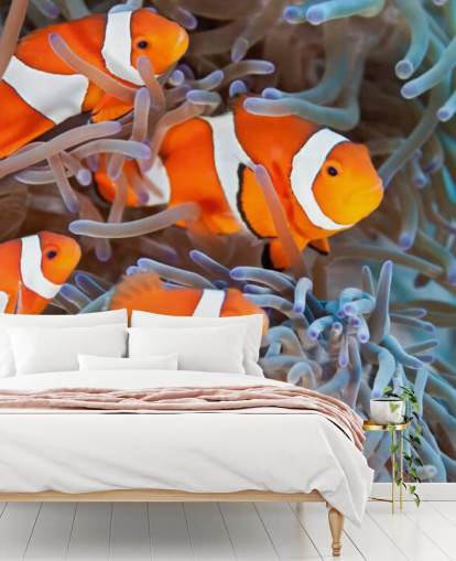 Peixe-palhaço laranja e branco em coral Peixe-palhaço laranja e branco em coral