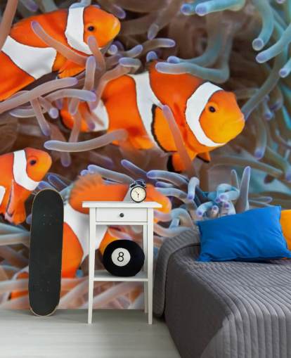 Orange und weißer Clownfisch in Koralle