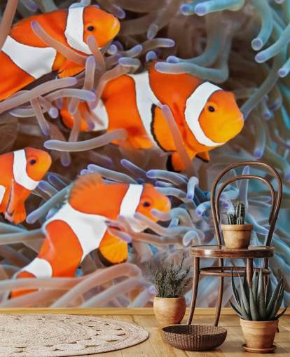 Pesce pagliaccio arancione e bianco in corallo