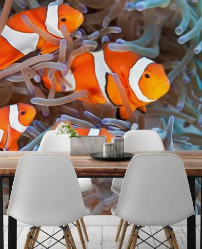 Orange und weißer Clownfisch in Koralle