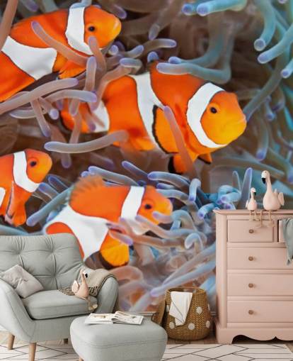 Oranssi ja valkoinen pelle kala koralli Oranssi ja valkoinen pelle kala koralli