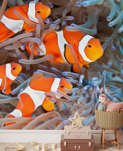 Orange und weißer Clownfisch in Koralle