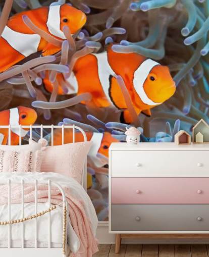 Peixe-palhaço laranja e branco em coral
