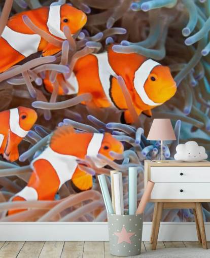 Orange og hvid klovn fisk i koral