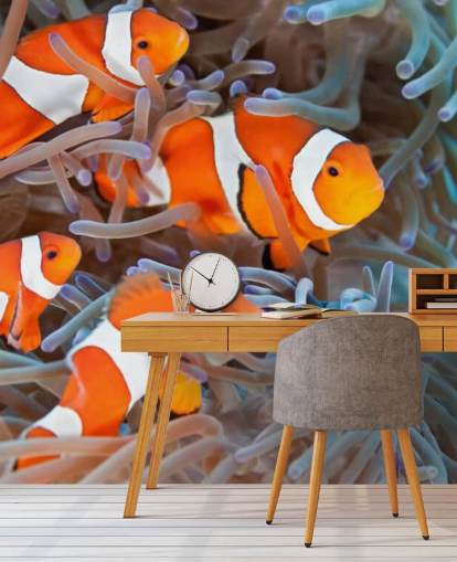 Poisson-clown orange et blanc en corail