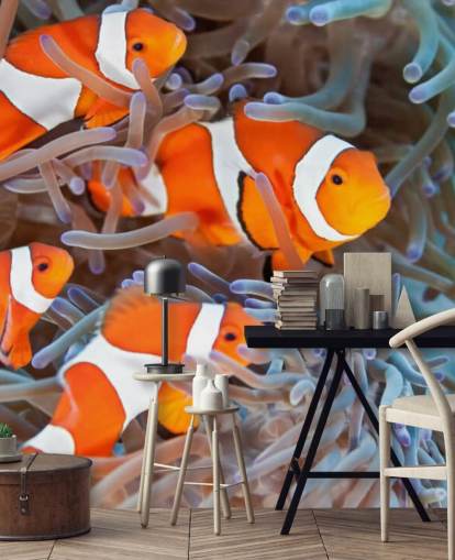 Pesce pagliaccio arancione e bianco in corallo