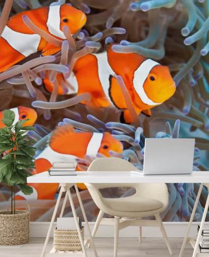 Pez payaso naranja y blanco en coral