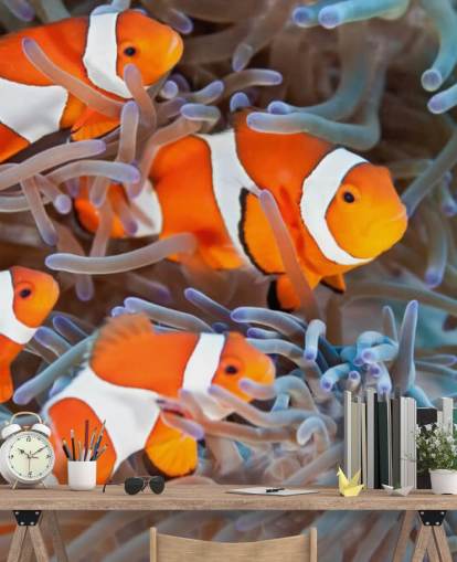 Orange and White Clown Fish in Coral