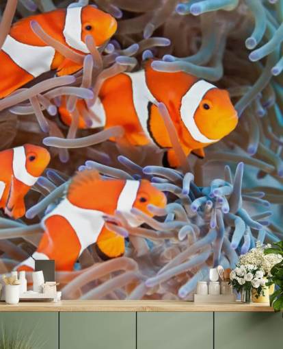Pez payaso naranja y blanco en coral Pez payaso naranja y blanco en coral