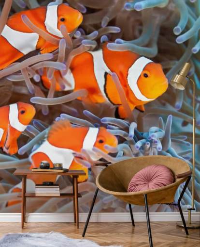 Orange and White Clown Fish in Coral Orange and White Clown Fish in Coral