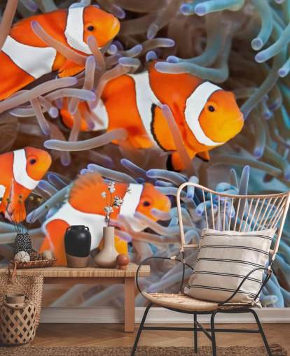 Orange och vit clown fisk i korall Orange och vit clown fisk i korall