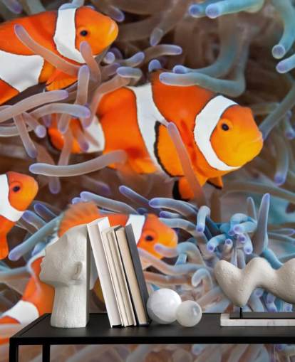 Peixe-palhaço laranja e branco em coral