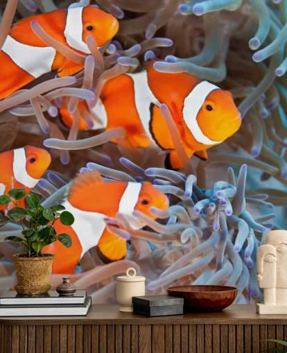 Orange og hvid klovn fisk i koral