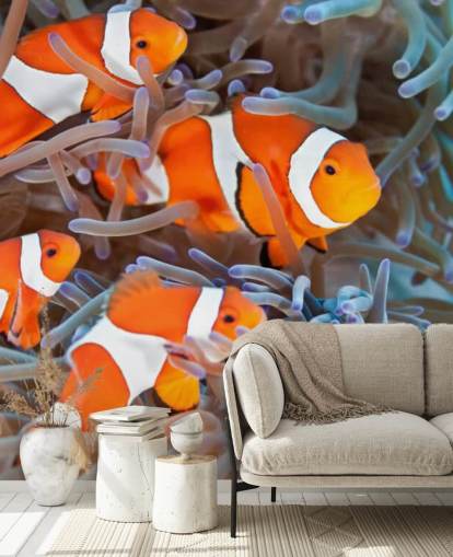 Orange and White Clown Fish in Coral