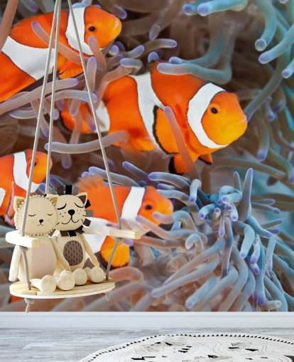 Orange and White Clown Fish in Coral