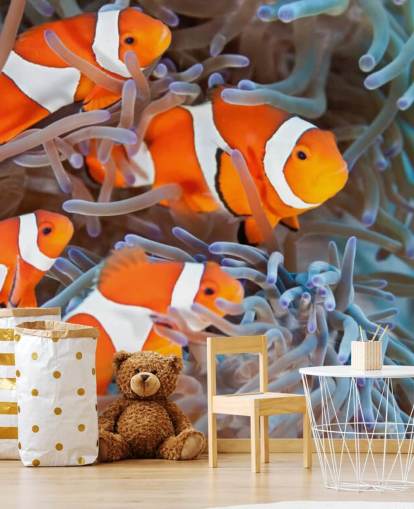 Oransje og hvit klovn fisk i Coral Oransje og hvit klovn fisk i Coral