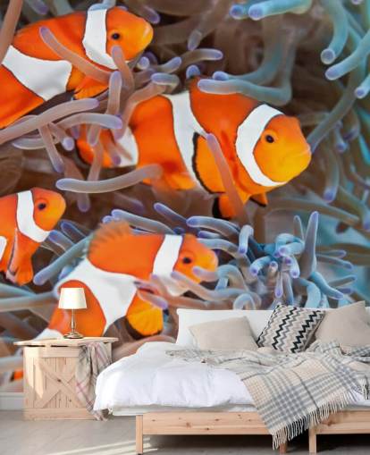 Pez payaso naranja y blanco en coral