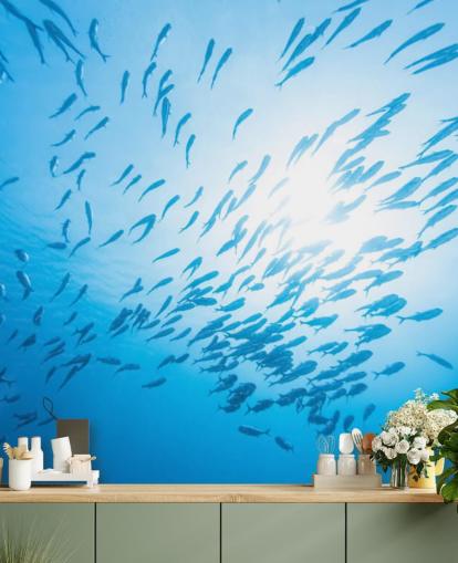 Fond d'écran Fish School Fond d'écran Fish School