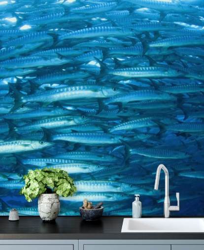 Glänsande fisk Grupp Bakgrund