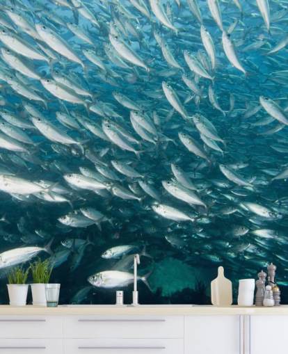 Papel de Parede Escola de Peixe Cinzento