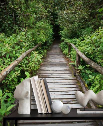 Papel Pintado Puente Forestal