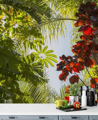 Dschungel Fototapete