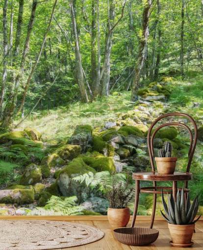 Green Spring Forest Muurschildering Green Spring Forest Muurschildering