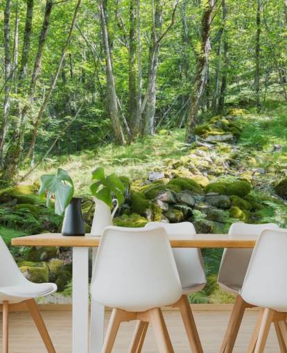 Decorazione murale con foresta primaverile verde