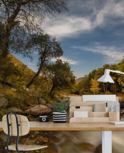 Mountain River Wall Mural