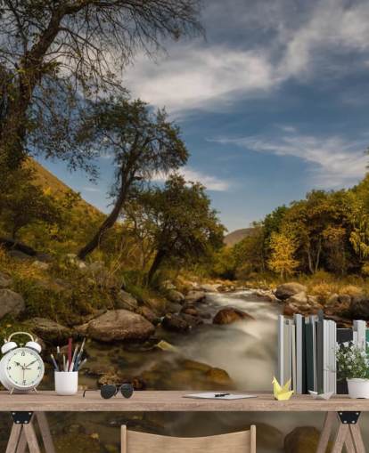 Mountain River Wall Mural