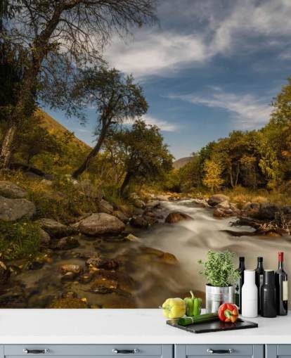 Mountain River Wall Mural