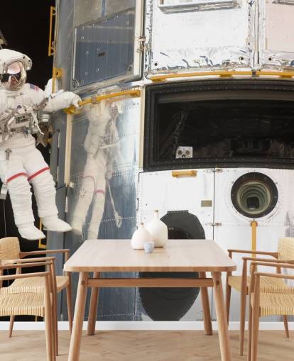 Hanging Out With Hubble Wallpaper Mural