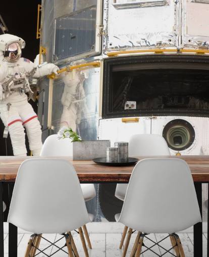 Hanging Out With Hubble Wallpaper Mural