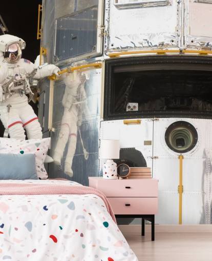 Papier Peint Fresque Traîner Avec Hubble