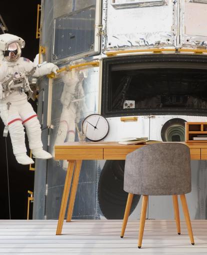 Hanging Out With Hubble Wallpaper Mural