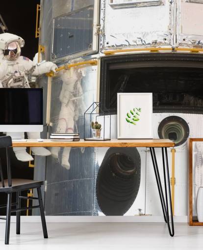 Hanging Out With Hubble Wallpaper Mural